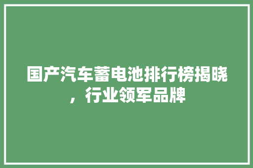 国产汽车蓄电池排行榜揭晓，行业领军品牌  第1张