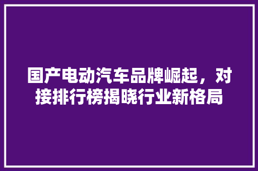 国产电动汽车品牌崛起，对接排行榜揭晓行业新格局