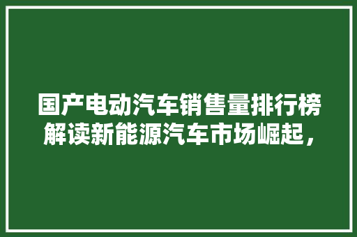 国产电动汽车销售量排行榜解读新能源汽车市场崛起，民族品牌再创新高  第1张