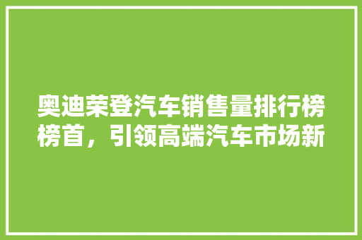 奥迪荣登汽车销售量排行榜榜首，引领高端汽车市场新潮流