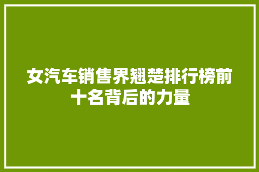 女汽车销售界翘楚排行榜前十名背后的力量