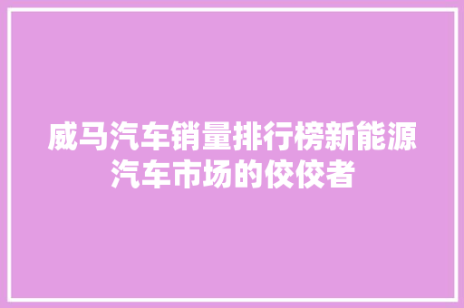 威马汽车销量排行榜新能源汽车市场的佼佼者  第1张