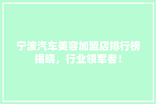 宁波汽车美容加盟店排行榜揭晓，行业领军者！  第1张
