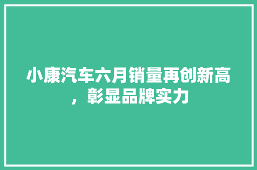 小康汽车六月销量再创新高，彰显品牌实力  第1张