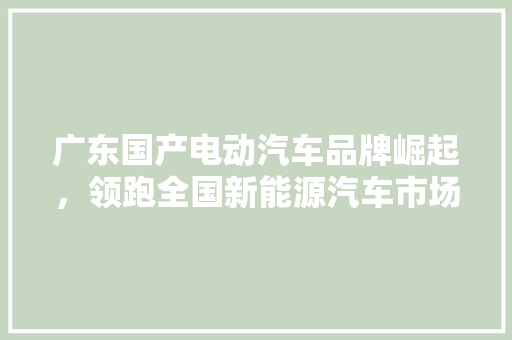 广东国产电动汽车品牌崛起，领跑全国新能源汽车市场