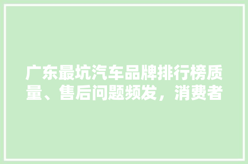 广东最坑汽车品牌排行榜质量、售后问题频发，消费者权益何在