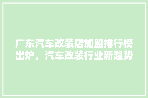 广东汽车改装店加盟排行榜出炉，汽车改装行业新趋势