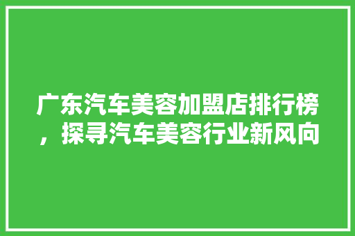 广东汽车美容加盟店排行榜，探寻汽车美容行业新风向  第1张
