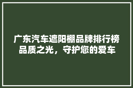 广东汽车遮阳棚品牌排行榜品质之光，守护您的爱车