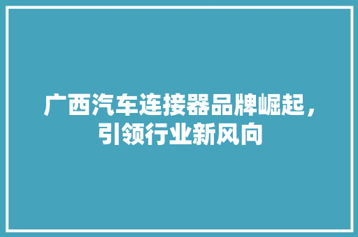 广西汽车连接器品牌崛起，引领行业新风向