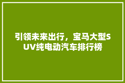 引领未来出行，宝马大型SUV纯电动汽车排行榜