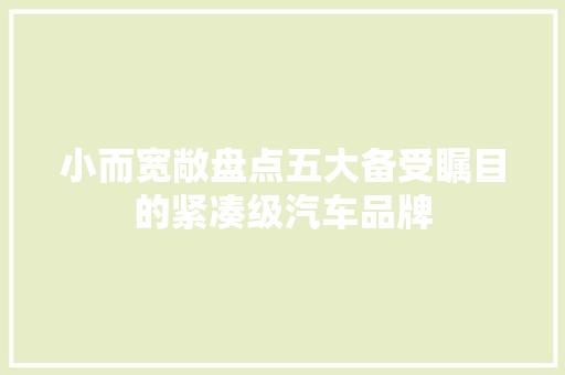 小而宽敞盘点五大备受瞩目的紧凑级汽车品牌  第1张