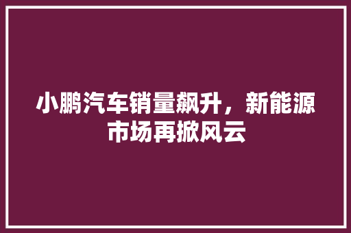 小鹏汽车销量飙升，新能源市场再掀风云
