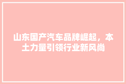 山东国产汽车品牌崛起，本土力量引领行业新风尚  第1张