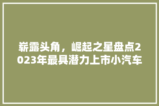 崭露头角，崛起之星盘点2023年最具潜力上市小汽车品牌排行榜  第1张