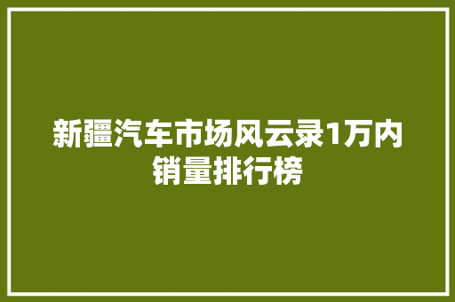 新疆汽车市场风云录1万内销量排行榜