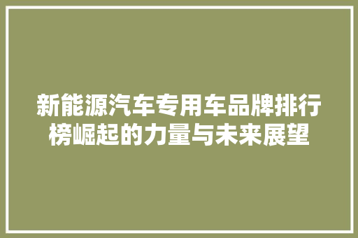 新能源汽车专用车品牌排行榜崛起的力量与未来展望