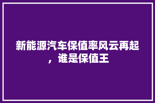 新能源汽车保值率风云再起，谁是保值王