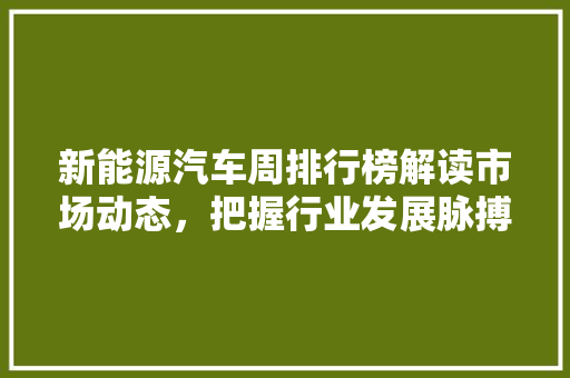 新能源汽车周排行榜解读市场动态，把握行业发展脉搏