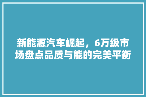 新能源汽车崛起，6万级市场盘点品质与能的完美平衡