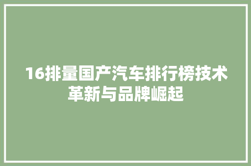 16排量国产汽车排行榜技术革新与品牌崛起