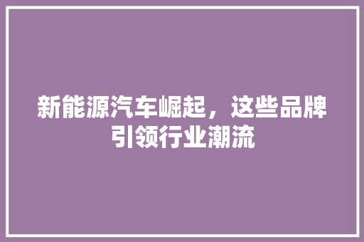新能源汽车崛起，这些品牌引领行业潮流