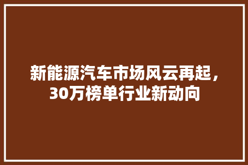 新能源汽车市场风云再起，30万榜单行业新动向