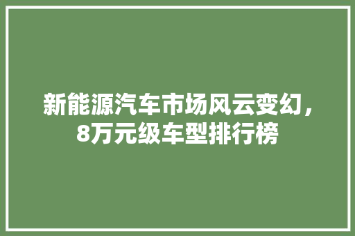 新能源汽车市场风云变幻，8万元级车型排行榜