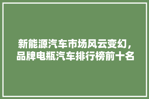 新能源汽车市场风云变幻，品牌电瓶汽车排行榜前十名揭晓！  第1张