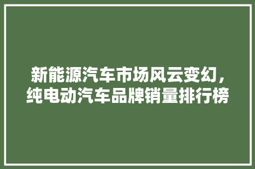 新能源汽车市场风云变幻，纯电动汽车品牌销量排行榜揭晓