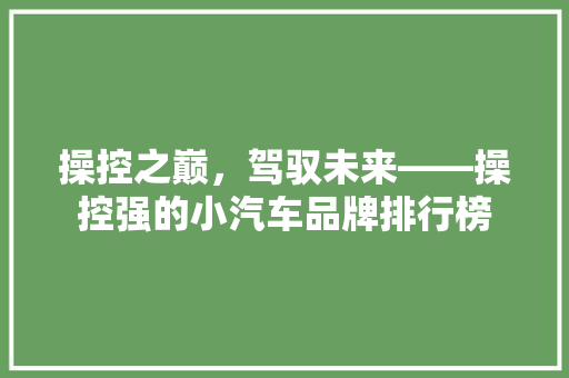 操控之巅，驾驭未来——操控强的小汽车品牌排行榜