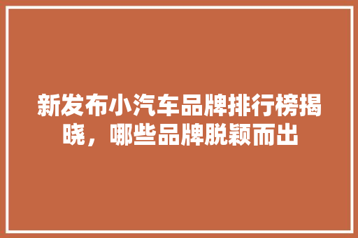 新发布小汽车品牌排行榜揭晓，哪些品牌脱颖而出  第1张