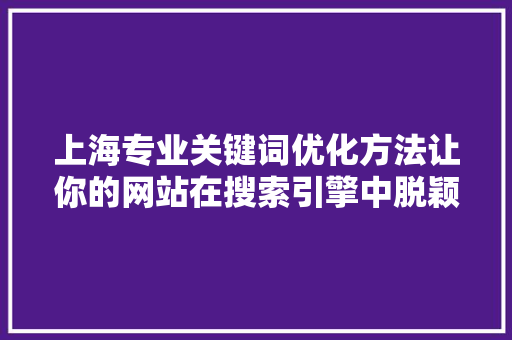 上海专业关键词优化方法让你的网站在搜索引擎中脱颖而出