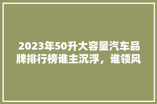2023年50升大容量汽车品牌排行榜谁主沉浮，谁领风骚