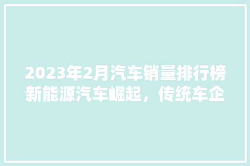 2023年2月汽车销量排行榜新能源汽车崛起，传统车企面临挑战