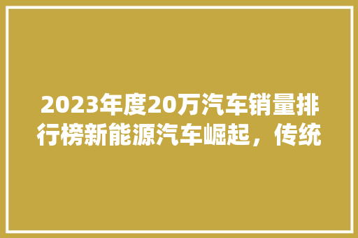 2023年度20万汽车销量排行榜新能源汽车崛起，传统车企面临挑战