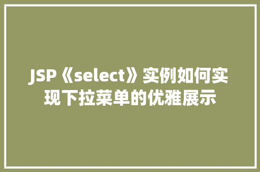 JSP《select》实例如何实现下拉菜单的优雅展示  第1张