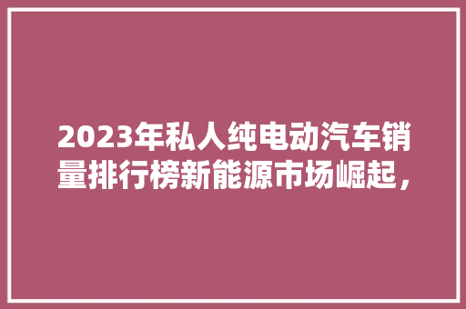 2023年私人纯电动汽车销量排行榜新能源市场崛起，谁是领军者  第1张
