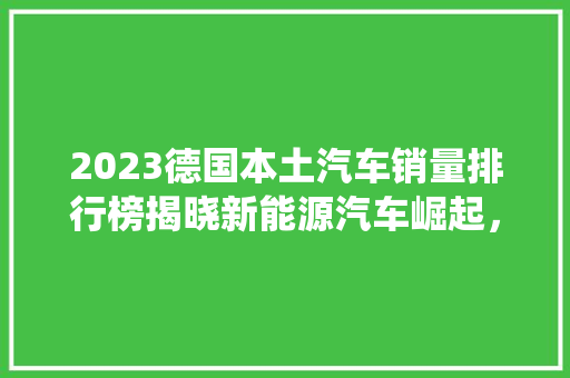 2023德国本土汽车销量排行榜揭晓新能源汽车崛起，传统巨头面临挑战