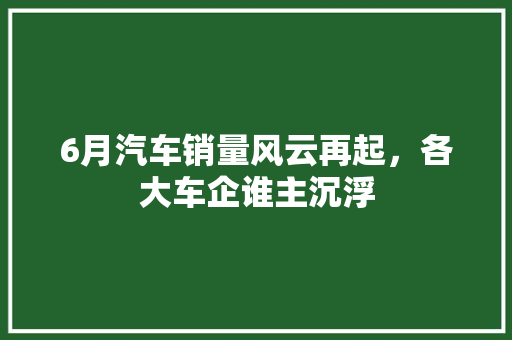 6月汽车销量风云再起，各大车企谁主沉浮  第1张