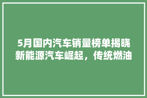 5月国内汽车销量榜单揭晓新能源汽车崛起，传统燃油车面临挑战  第1张