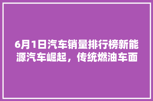 6月1日汽车销量排行榜新能源汽车崛起，传统燃油车面临挑战  第1张