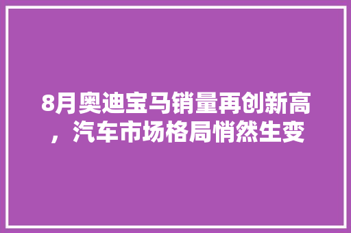 8月奥迪宝马销量再创新高，汽车市场格局悄然生变  第1张