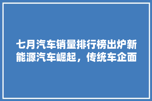 七月汽车销量排行榜出炉新能源汽车崛起，传统车企面临挑战  第1张