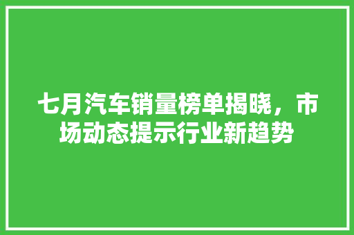 七月汽车销量榜单揭晓，市场动态提示行业新趋势