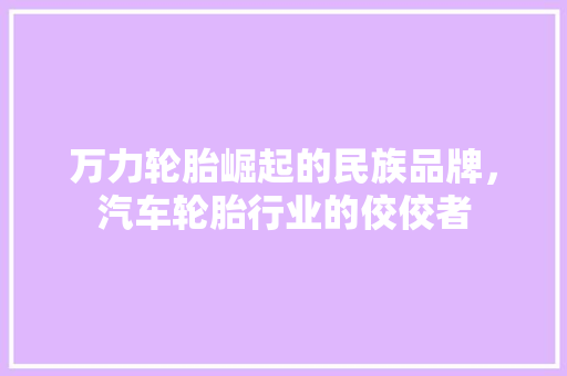 万力轮胎崛起的民族品牌，汽车轮胎行业的佼佼者  第1张