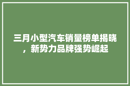 三月小型汽车销量榜单揭晓，新势力品牌强势崛起  第1张