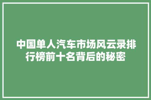 中国单人汽车市场风云录排行榜前十名背后的秘密  第1张