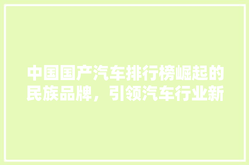 中国国产汽车排行榜崛起的民族品牌，引领汽车行业新风尚  第1张