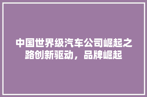 中国世界级汽车公司崛起之路创新驱动，品牌崛起  第1张